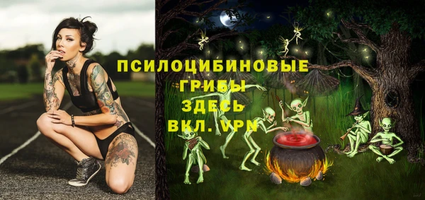 дмт Аркадак