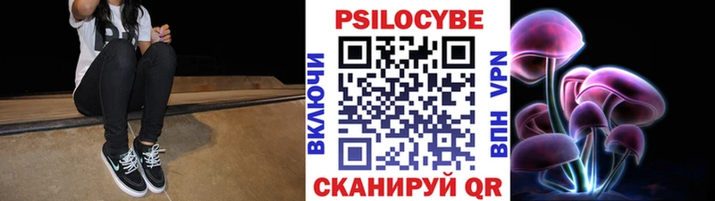 Галлюциногенные грибы мицелий цены наркотик Родники